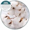 Fresh Products ourfresh Airfreshener, Cotton Blossom, 8PK OFB-F-008I008I-06 - alternate 3